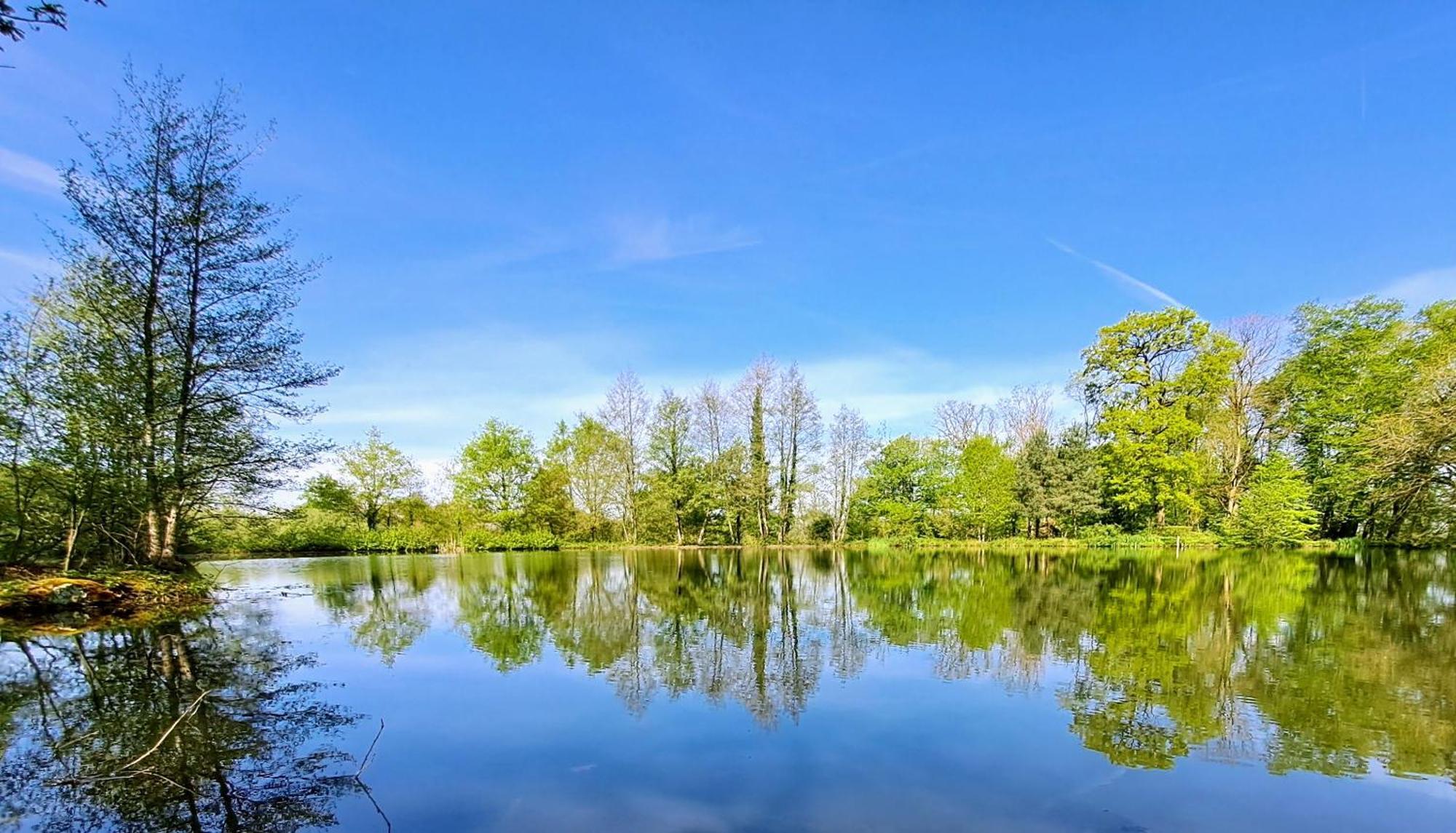 Domaine Des Roches Blanches Villa Le Pin  Ngoại thất bức ảnh