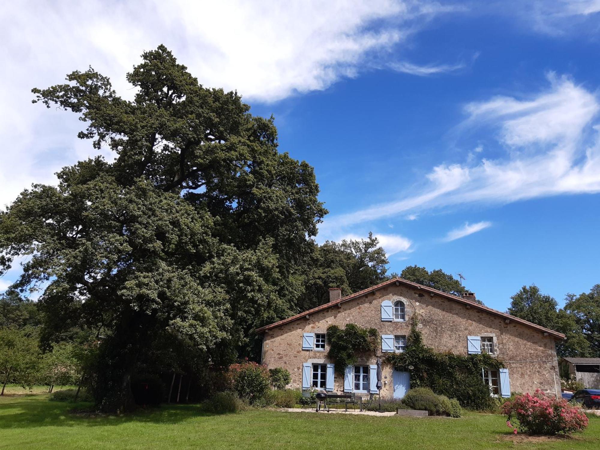 Domaine Des Roches Blanches Villa Le Pin  Ngoại thất bức ảnh